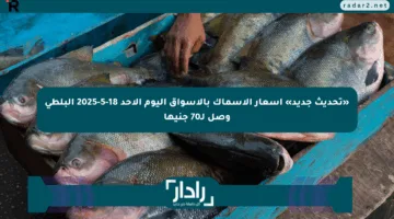 «تحديث جديد» أسعار الأسماك بالأسواق اليوم الأحد 18-5-2025 البلطى وصل لـ70 جنيها